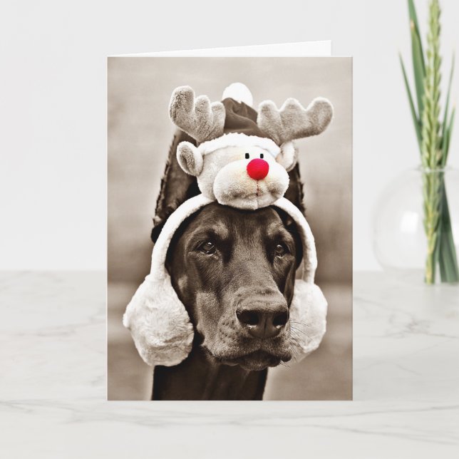 Doberman Christmas Card (Front)