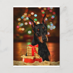 Doberman Christmas Holiday Postcard