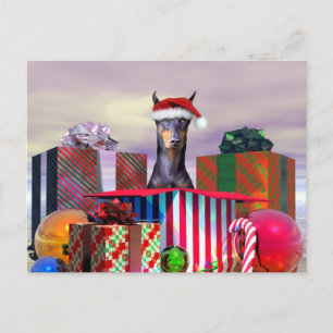 Doberman Christmas Surprise Holiday Postcard