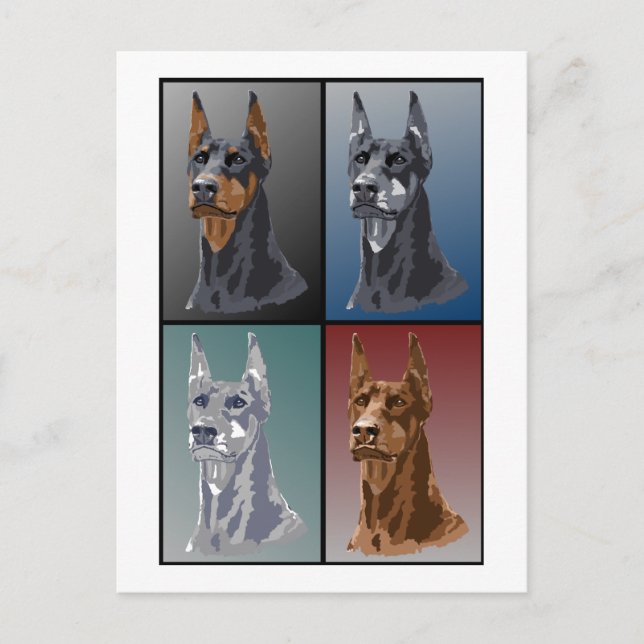 Doberman Colors Postcard (Front)