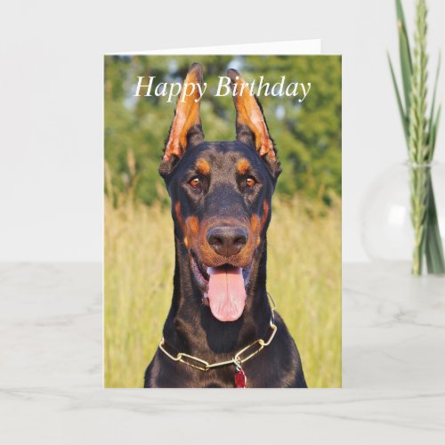 Doberman dog beautiful custom birthday card