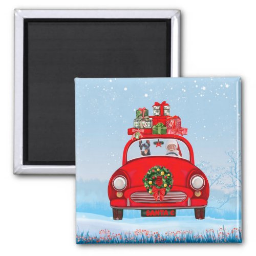 Doberman Dog In Car With Santa Claus  Magnet