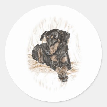 Doberman Dog Natural Ears Classic Round Sticker by KelliSwan at Zazzle