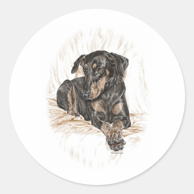 Doberman Dog Natural Ears Classic Round Sticker (Front)