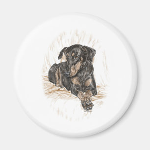 Doberman Dog Natural Ears Magnet
