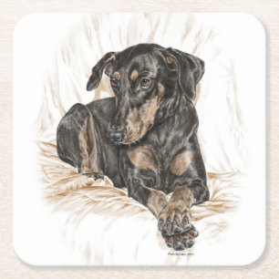 Doberman Dog Natural Ears Square Paper Coaster