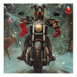 Doberman Dog Riding Motorcycle Christmas Acrylic Print