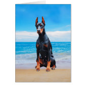 Doberman Dog Sitting On Beach (Front)