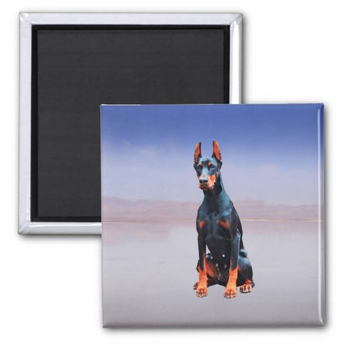 Doberman Dog Sitting On Beach Magnet