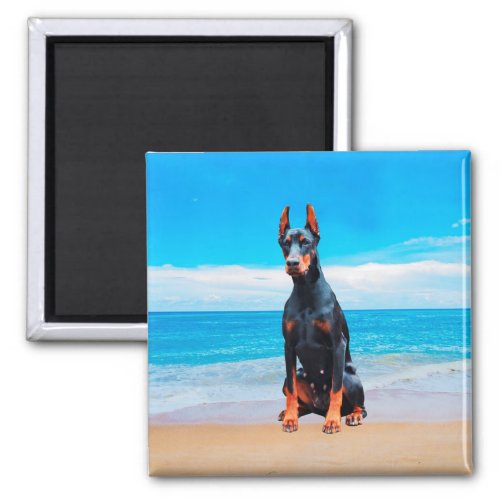 Doberman Dog Sitting On Beach Magnet