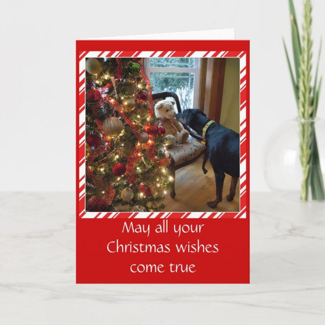 Doberman dog, Teddy Bear, Christmas greeting card (Front)