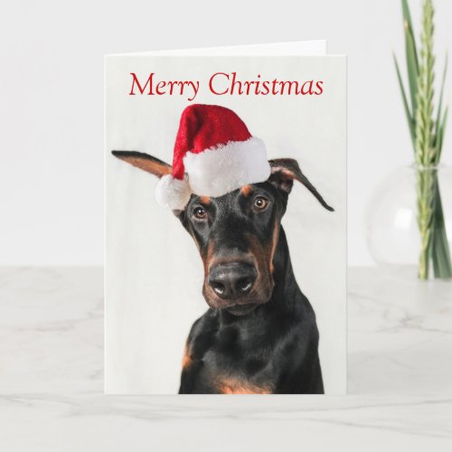 Doberman dog with Santa Hat Christmas card