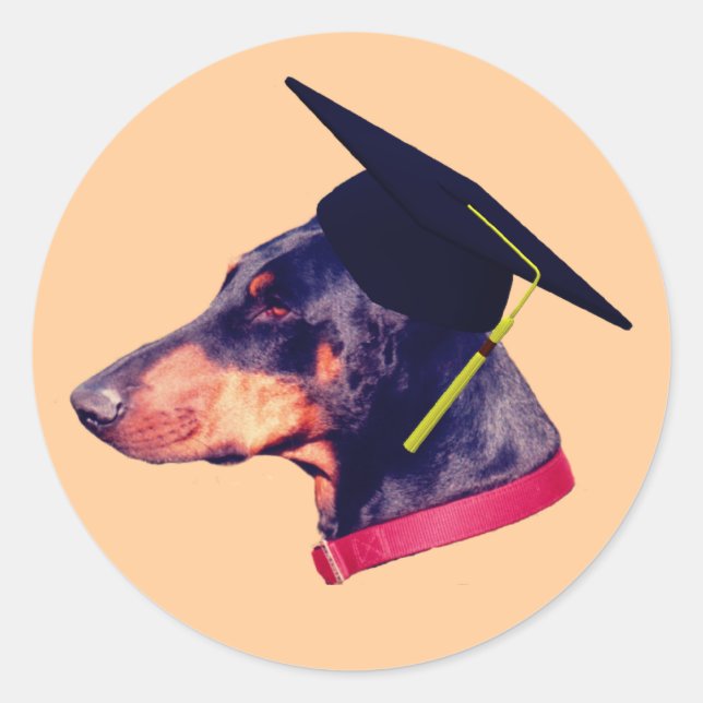 Doberman Graduate Cap Funny  Classic Round Sticker (Front)