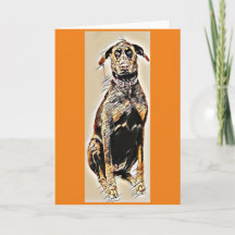 Doberman greeting card
