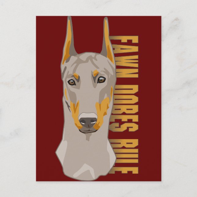 Doberman Head, Fawn Dogs Rule Postcard (Front)