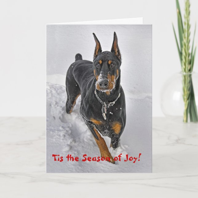 Doberman Holiday Card Snowball Catcher (Front)