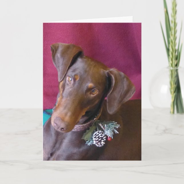 Doberman (Holly) in her Christmas Decoration! Holiday Card (Front)