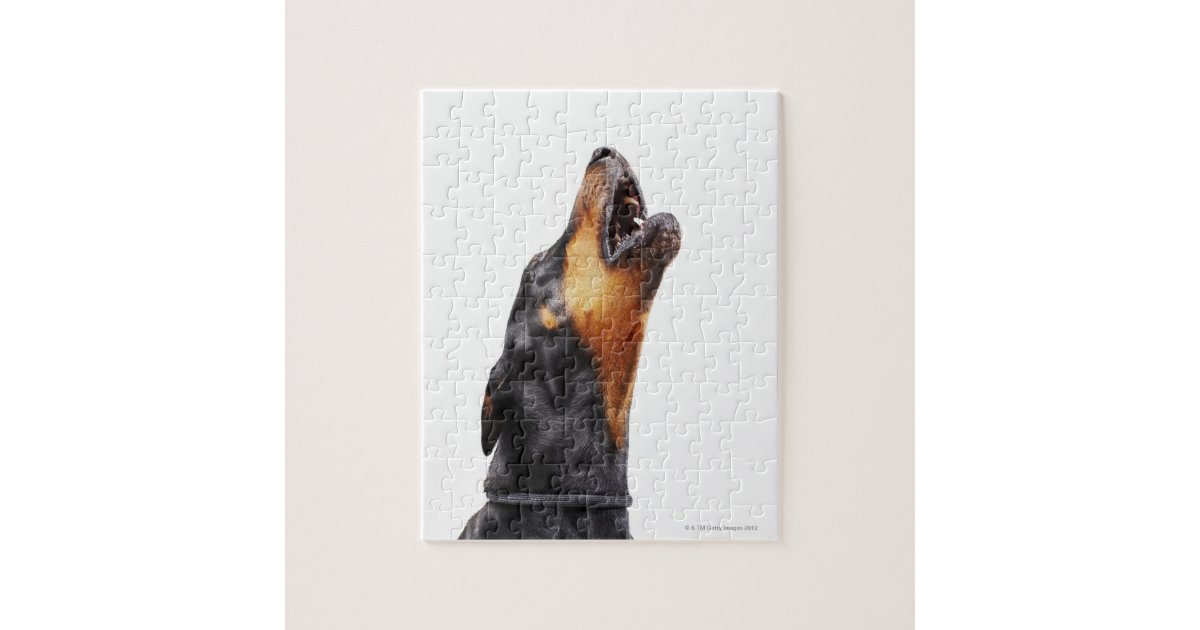 Doberman howling jigsaw puzzle Zazzle