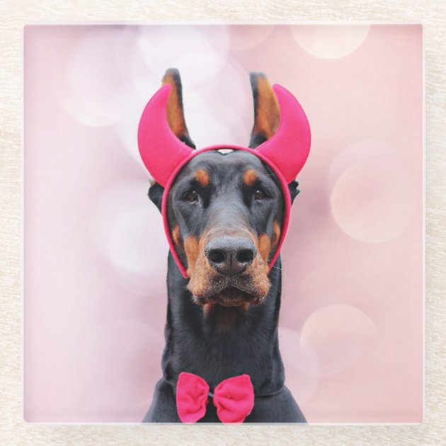 doberman dress