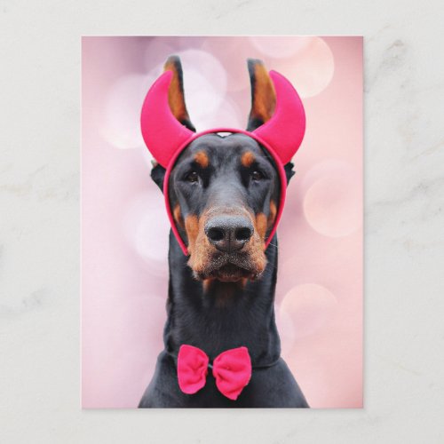 Doberman in Devil Costume Postcard