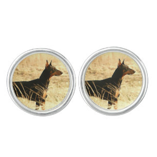 Doberman in Dry Reeds Painting Image Cufflinks