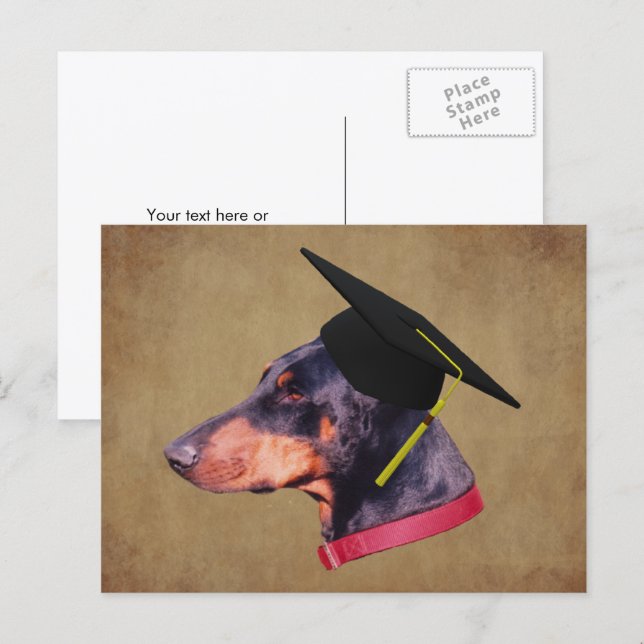 Doberman In Graduation Cap Funny Dog Personalized Postcard (Front/Back)