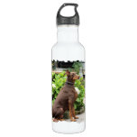 Doberman - In the Church Garden Stainless Steel Water Bottle