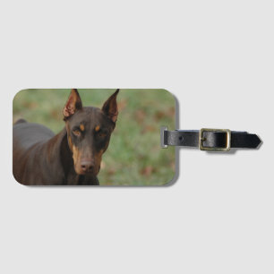 doberman luggage tag