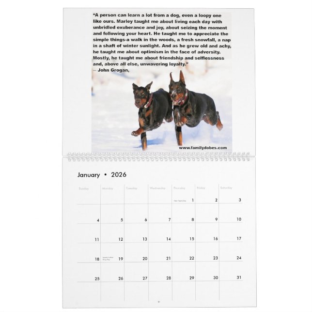 Doberman Meme Calendar (Jan 2026)