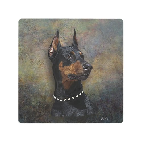 Doberman   metal print