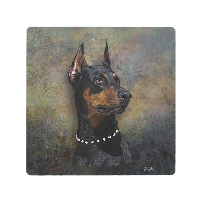 Doberman   metal print (Front)