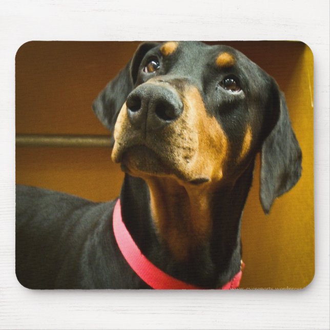 Doberman Mousepad (Front)