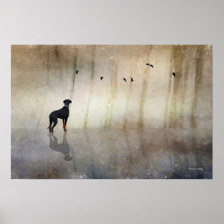 Doberman Photo Art - Reflections of a Quiet Heart Poster