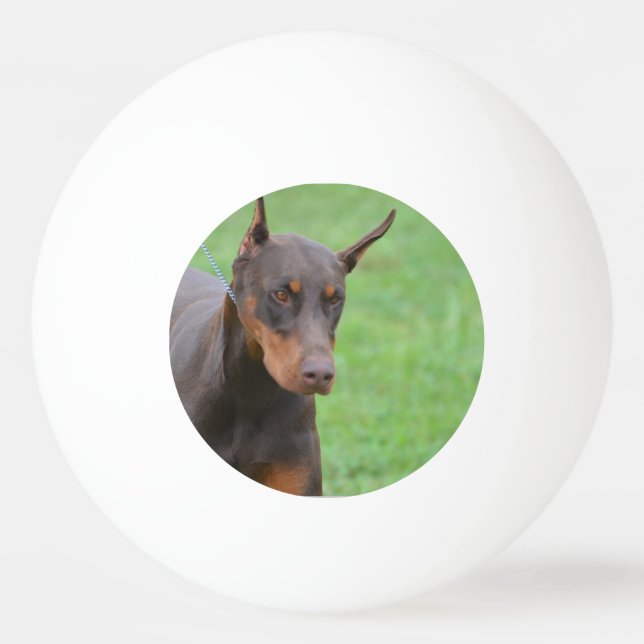 Doberman Ping-Pong Ball (Front)