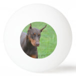 Doberman Ping-Pong Ball
