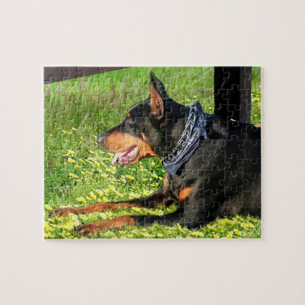 Doberman Pinscher Jigsaw Puzzles Zazzle