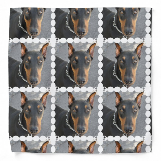 Doberman Pinscher Bandana (Front)