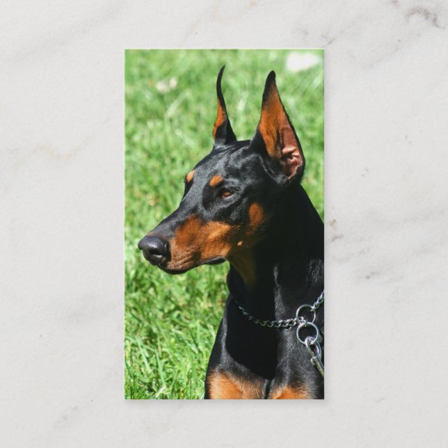 Doberman Pinscher business cards (Front)