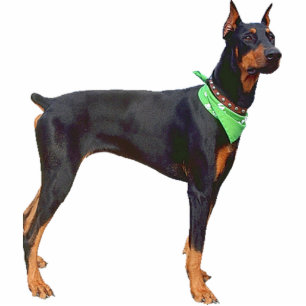 Doberman Pinscher Cutout