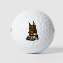 Doberman pinscher, dobie pinscher dog lover
