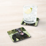 Doberman Pinscher Dog Cork Coasters