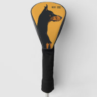 Doberman Pinscher Dog