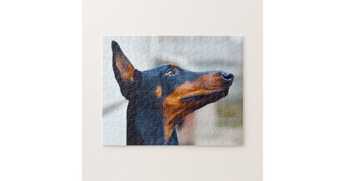 Doberman Pinscher Dog Jigsaw Puzzle Reab25868354d4bf8a58b094875a04359 Amb07 8byvr 630 ?view Padding=[285%2C0%2C285%2C0]