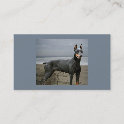Doberman Pinscher Dog Lover Business Card