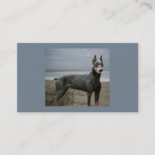 Customizable Doberman Pinscher Dog Lover Business Card