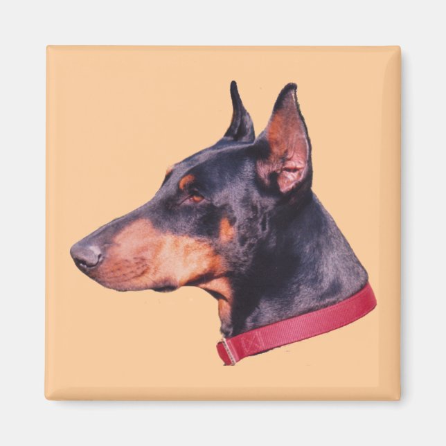 Doberman Pinscher Dog Magnet (Front)