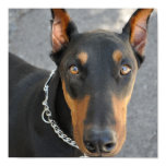 Doberman Pinscher Dog Print