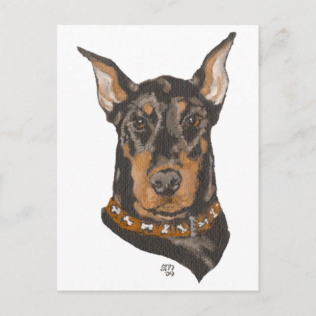 Doberman Pinscher Head Study Postcard (Front)