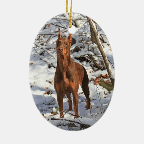 Doberman Pinscher in Snow Ornament