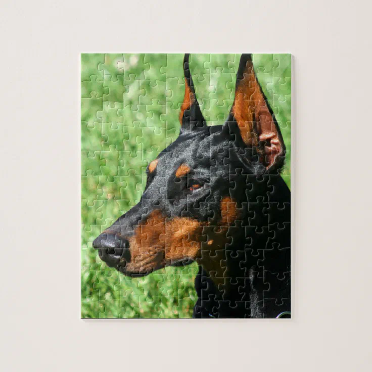 Doberman Pinscher Jigsaw Puzzle Zazzle